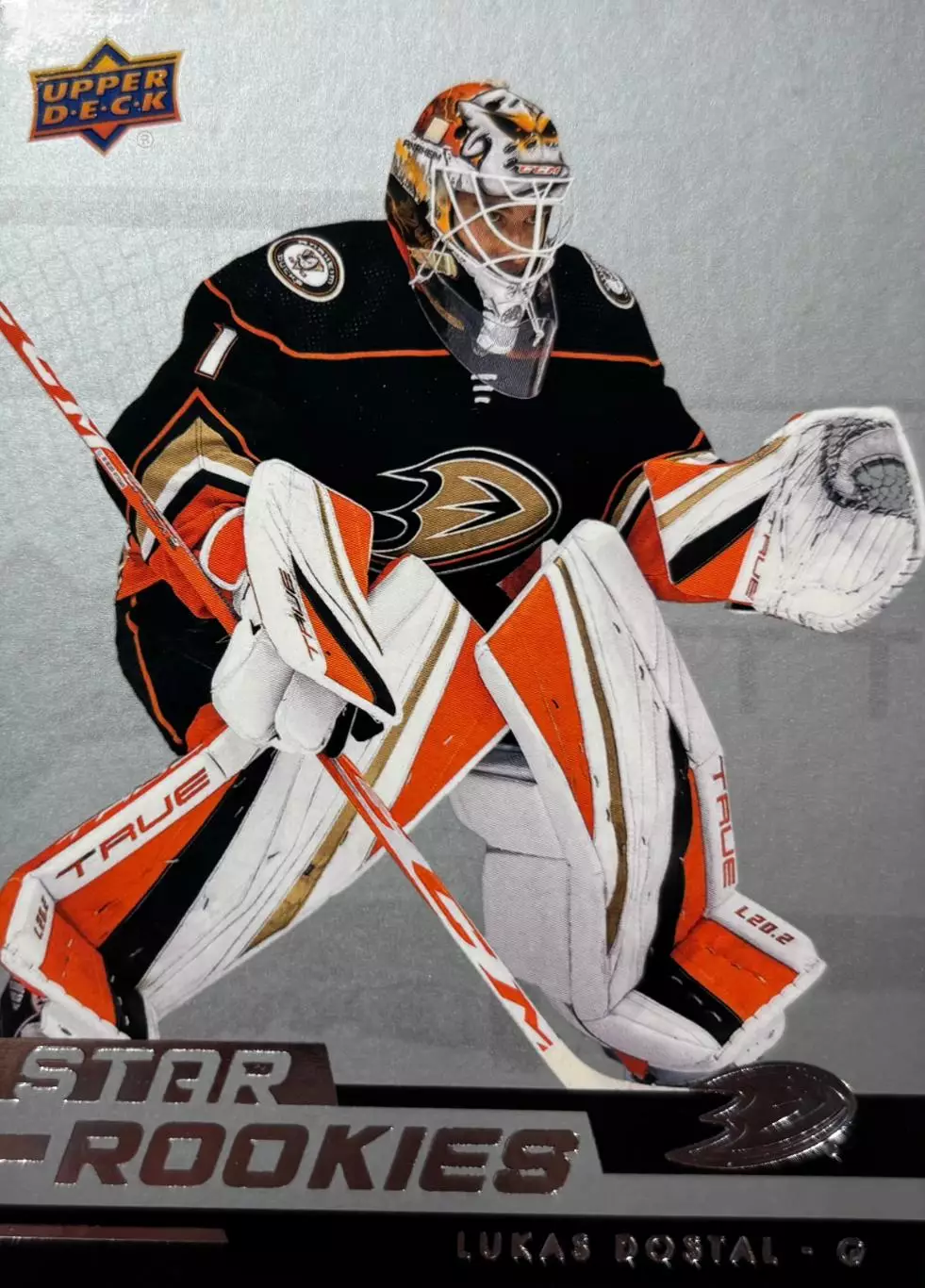 Хоккей. Карточка Lukas Dostal-Лукаш Досталь Anaheim Ducks - Анахайм Дакс НХЛ/NHL