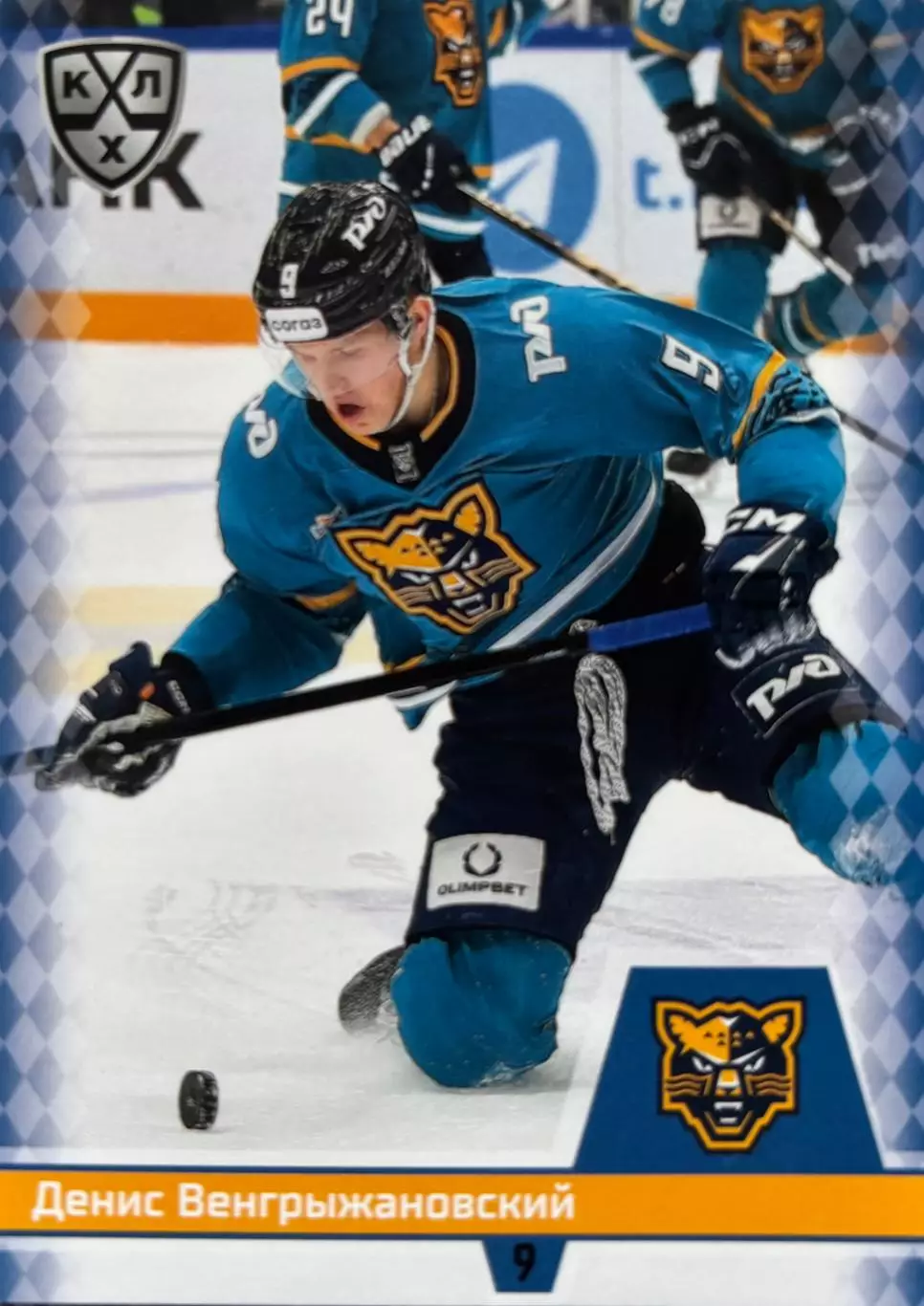 Хоккей. Карточка Денис Венгрыжановский ХК Сочи КХЛ/KHL сезон 2025/26 SeReal
