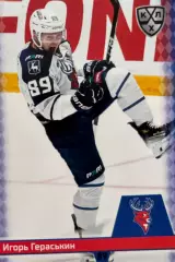 Хоккей. Карточка Игорь Гераськин Торпедо Нижний Новгород КХЛ/KHL сезон 2025/26