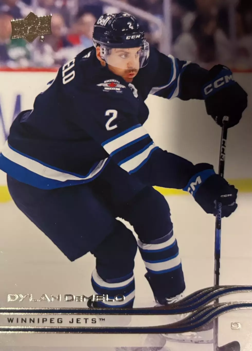 Хоккей. Карточка Dylan DeMelo-Дилан Демело Winnipeg Jets-Виннипег Джетс НХЛ-NHL