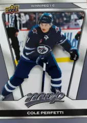 Хоккей Карточка Cole Perfetti-Коул Перфетти Winnipeg Jets/Виннипег Джетс НХЛ/NHL