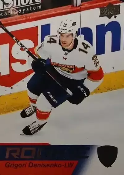 Хоккей. Григорий Денисенко Florida Panthers-Флорида, Локомотив, Ак Барс НХЛ КХЛ