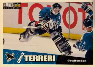 Хоккей. Карточка Chris Terreri - Крис Террери San Jose Sharks/Сан-Хосе НХЛ/NHL
