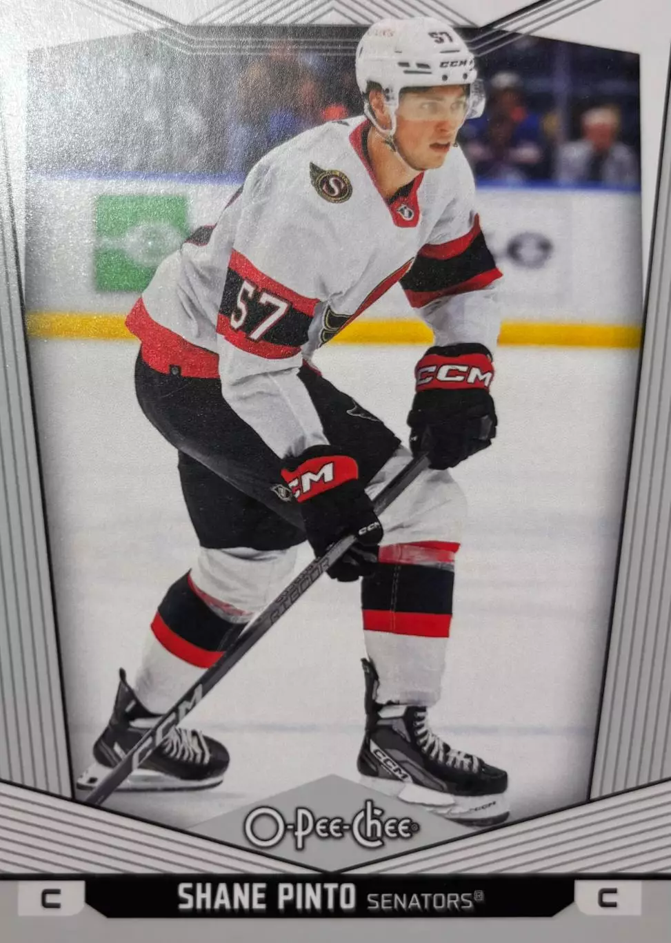 Хоккей. Карточка Shane Pinto-Шейн Пинто Ottawa Senators-Оттава Сенаторз НХЛ-NHL