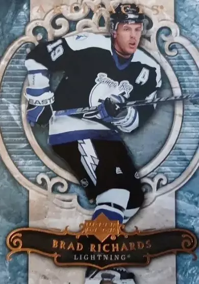 Хоккей. Карточка Brad Richards-Брэд Ричардс Tampa Bay Lightning, Ак Барс НХЛ/NHL