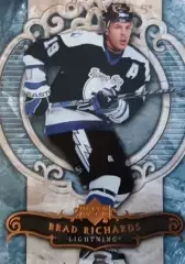 Хоккей. Карточка Brad Richards-Брэд Ричардс Tampa Bay Lightning, Ак Барс НХЛ/NHL