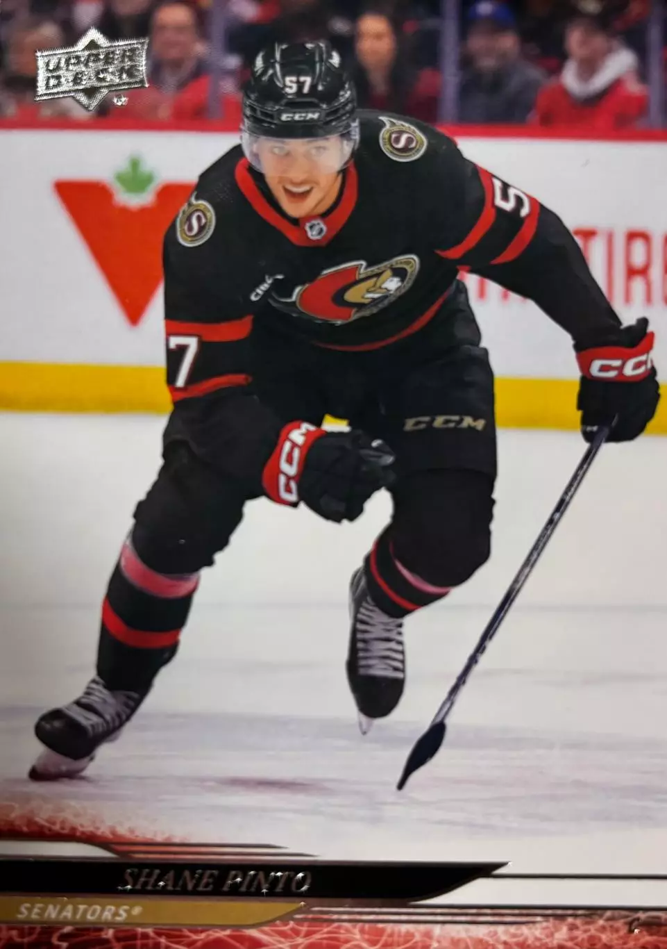 Хоккей. Карточка Shane Pinto-Шейн Пинто Ottawa Senators-Оттава Сенаторз НХЛ NHL