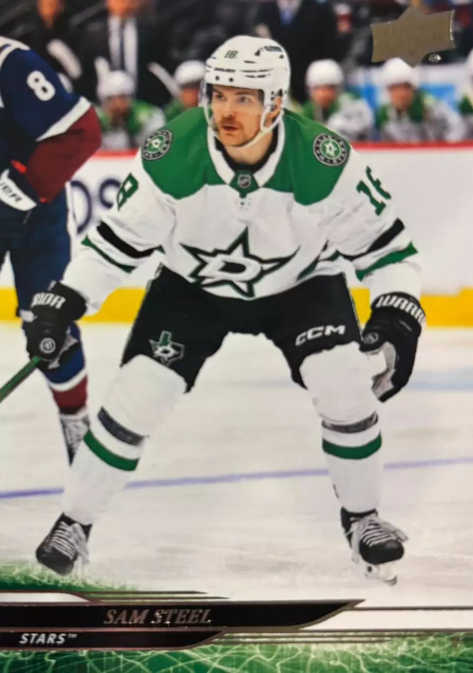 Хоккей. Карточка Sam Steel-Сэм Стил Dallas Stars - Даллас Старз НХЛ/NHL 2024/25