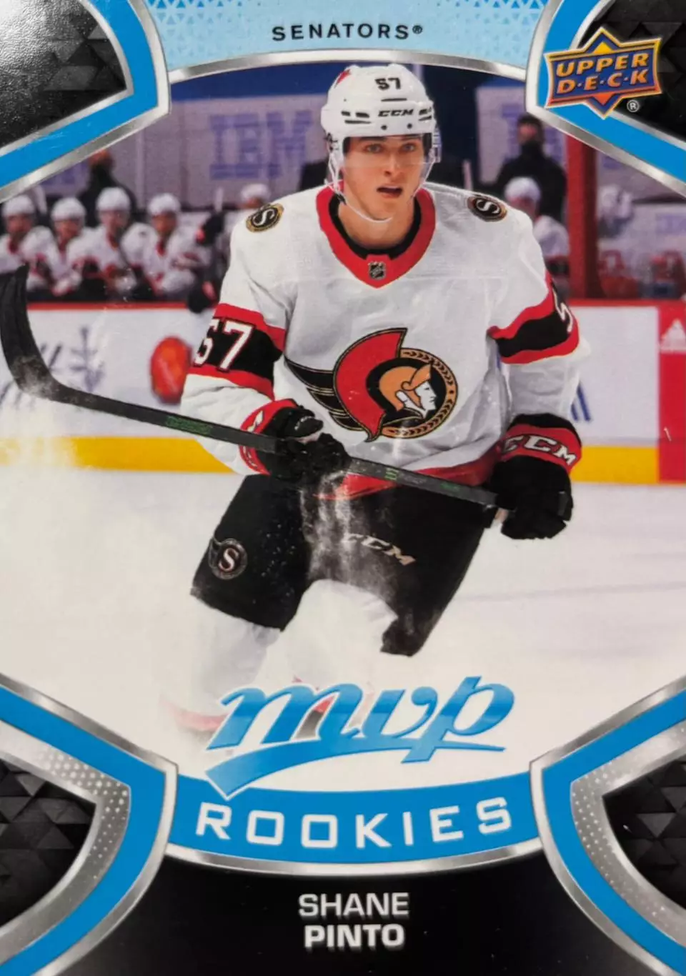 Хоккей. Карточка Shane Pinto-Шейн Пинто Ottawa Senators-Оттава Сенаторз НХЛ NHL