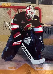 Хоккей. Карточка Damian Rhodes - Дэмиан Роудз Ottawa Senators - Оттава НХЛ/NHL