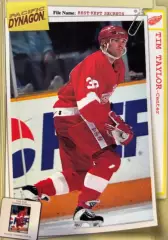 Хоккей. Карточка Tim Taylor - Тим Тэйлор Detroit Red Wings - Детройт НХЛ/NHL