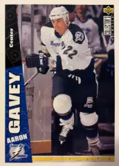 Хоккей Карточка Aaron Gavey - Аарон Гейви Tampa Bay Lightning/Тампа-Бэй НХЛ/NHL