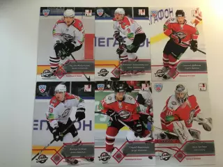 Хоккей. КХЛ Донбасс Донецк 18 карточек сезона 2012/13 -Дадонов, Эрсберг, Бабчук