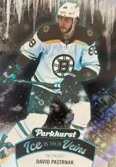 Хоккей. Карточка David Pastrnak-Давид Пастрняк Boston Bruins-Бостон НХЛ-NHL