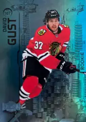 Хоккей Карточка David Gust-Дэвид Гаст Chicago Blackhawks-Чикаго Блэкхокс НХЛ/NHL