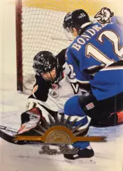 Хоккей. Карточка Steve Shields-Стив Шилдс Buffalo Sabres-Баффало Сейбрз НХЛ/NHL