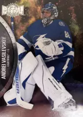Хоккей. Карточка Андрей Василевский Tampa Bay Lightning, Салават Юлаев НХЛ-КХЛ