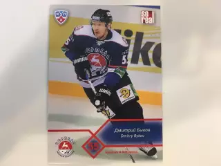 Хоккей.Карточка Дмитрий Быков Торпедо Нижний Новгород КХЛ/KHL 2012-2013