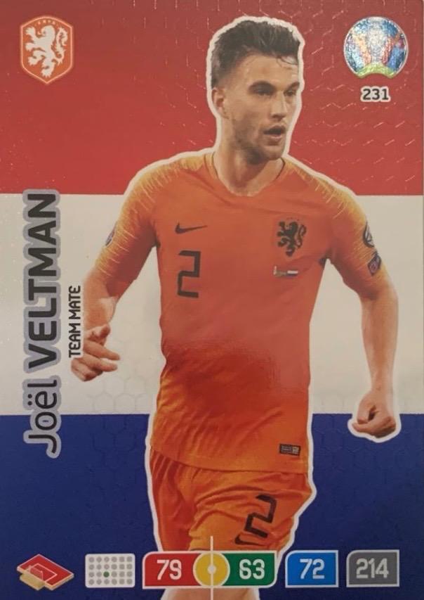 Футбол. Карточка Joel Veltman/Джоэл Велтман Германия, Брайтон Euro/Евро 2020