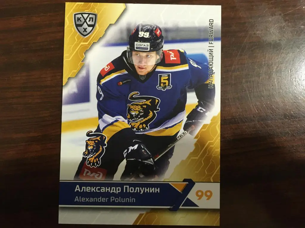 Хоккей. Карточка Александр Полунин ХК Сочи КХЛ/KHL сезон 2018-2019 SeReal
