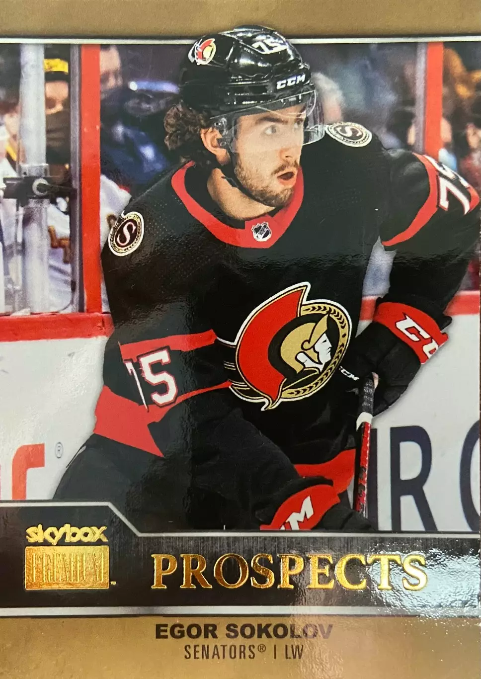 Карточка Егор Соколов Ottawa Senators - Оттава Сенаторз, Торпедо NHL/НХЛ/КХЛ