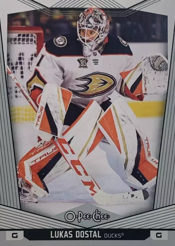 Хоккей. Карточка Lukas Dostal-Лукаш Досталь Anaheim Ducks - Анахайм Дакс НХЛ/NHL
