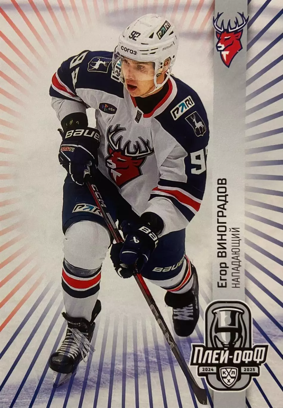 Хоккей. Карточка Егор Виноградов Торпедо Нижний Новгород КХЛ/KHL 2024/25 SeReal