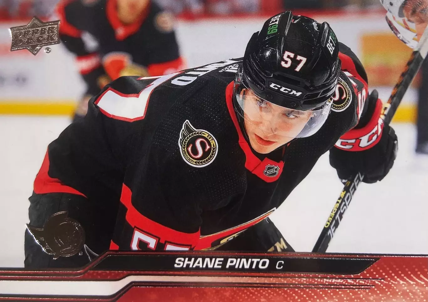 Хоккей. Карточка Shane Pinto-Шейн Пинто Ottawa Senators-Оттава Сенаторз НХЛ/NHL