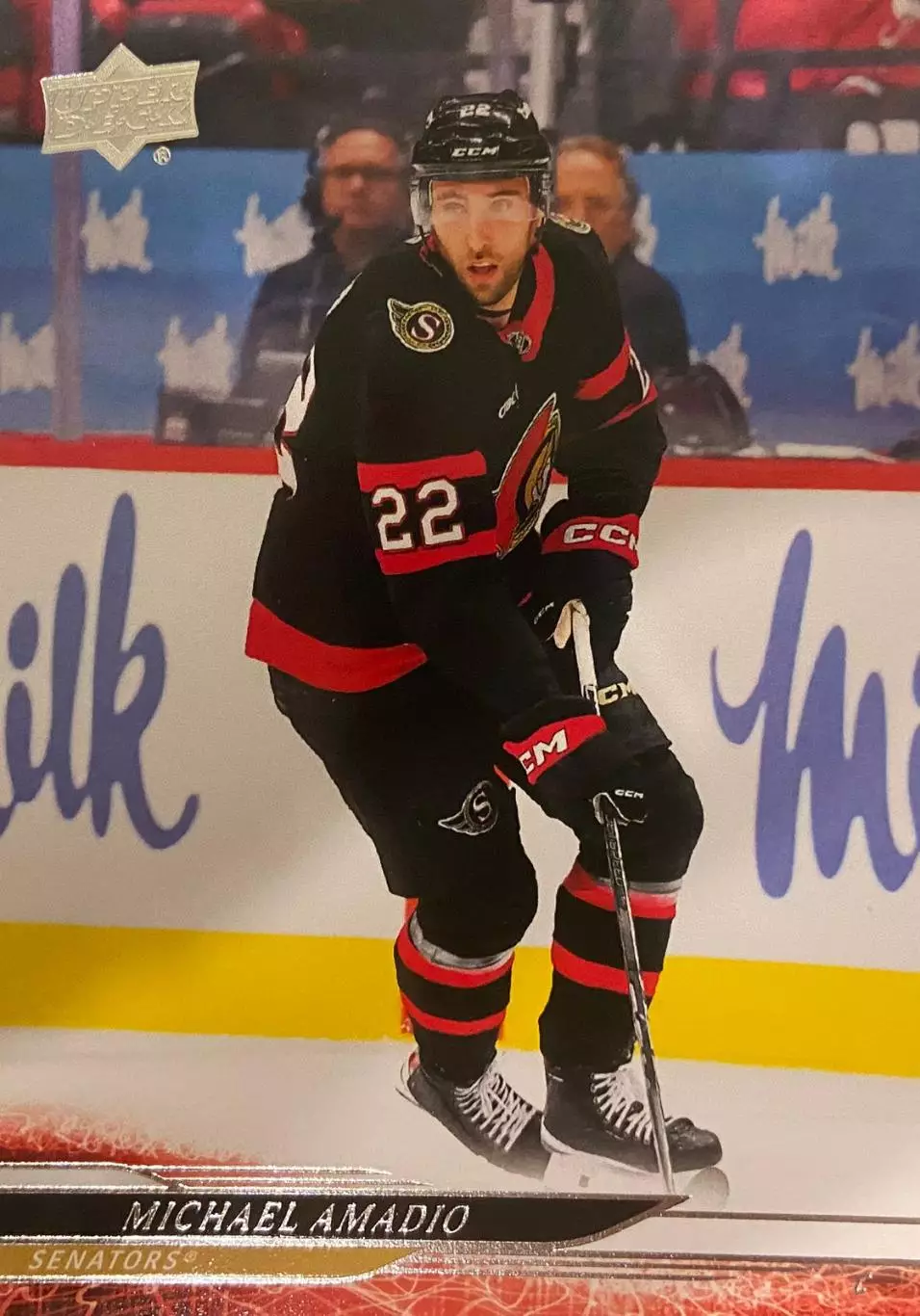 Хоккей. Карточка Michael Amadio - Майкл Амадио Ottawa Senators - Оттава НХЛ/NHL