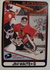 Хоккей Карточка Jim Waite-Джимми Уэйт Chicago Blackhawks-Чикаго Блэкхокс НХЛ/NHL