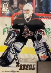 Хоккей. Карточка Роберт Эш Phoenix Coyotes/Финикс, СКА, Динамо Минск НХЛ/КХЛ