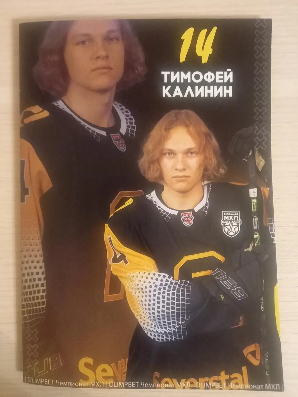 Алмаз Череповец - Амурские Тигры Хабаровск 19-20.01.2025