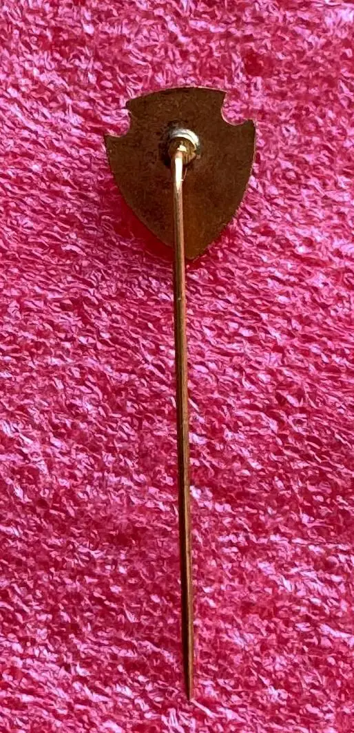 Знак футбольный клуб Васко да Гама Бразилия. 1