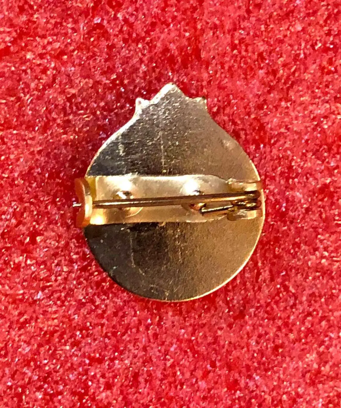 Значок Пионерия Чехословакия. 1