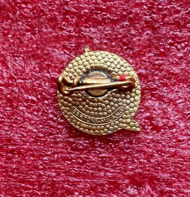 Знак хоккейный клуб Брунек Брунико Италия. 1