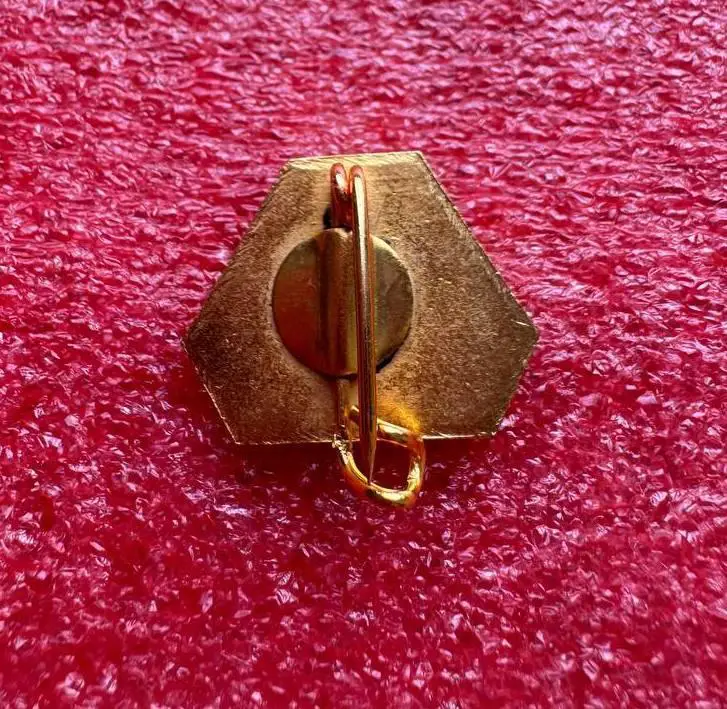 Знак хоккейный клуб Больцано Италия. 1