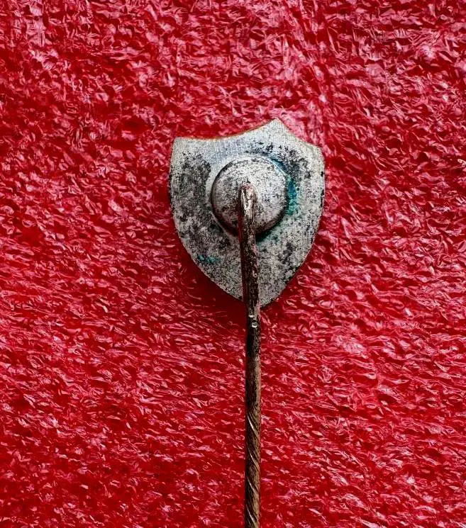 Знак футбольный клуб TSV Goltern Германия. 1