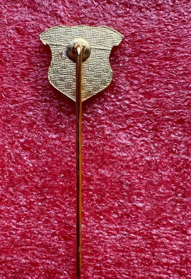 Знак футбольный клуб Tus Echthausen Германия. 1