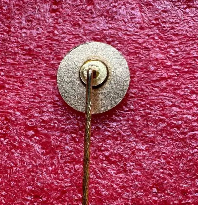 Знак футбольный клуб TSG Bundheim-Schlewecke Германия. 1