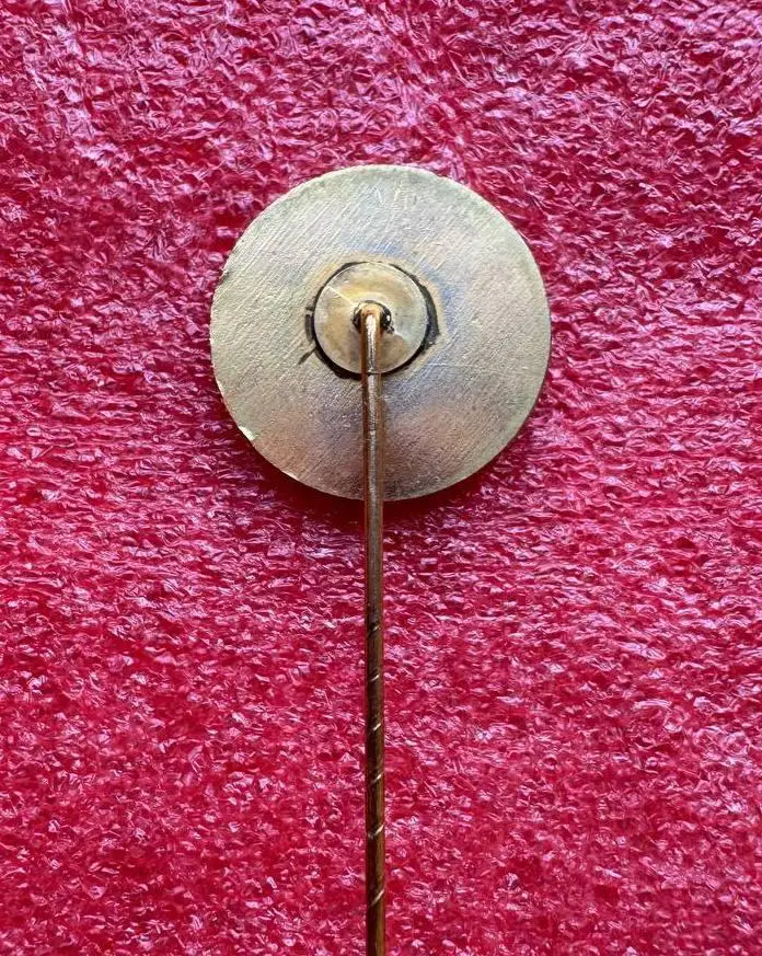 Знак футбольный клуб VfL SCHWERTE 1919/21 Германия. 1