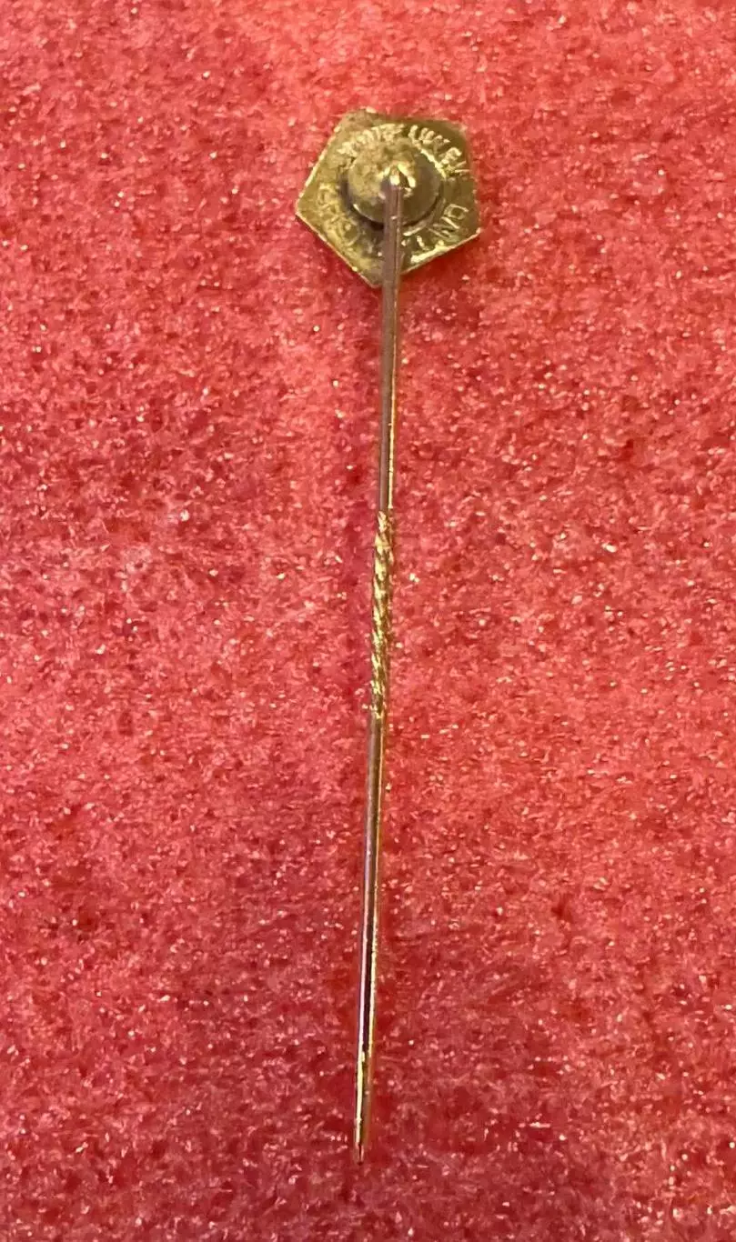 Знак Федерация футбола Нидерланды. 2