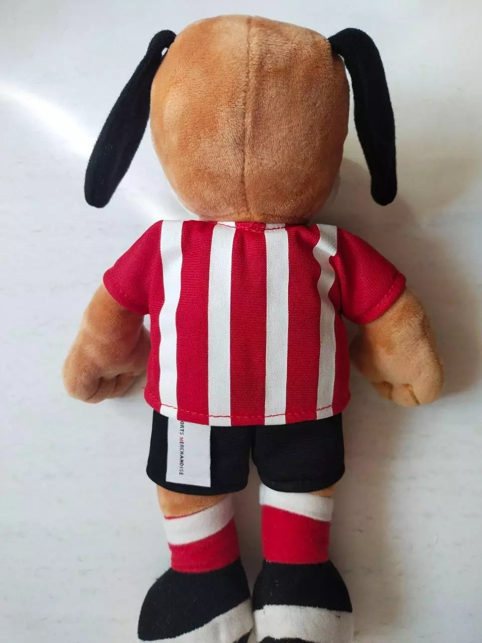 Талисман маскот футбольного клуба Саутгемптон Англия - Фредди Фанат 4