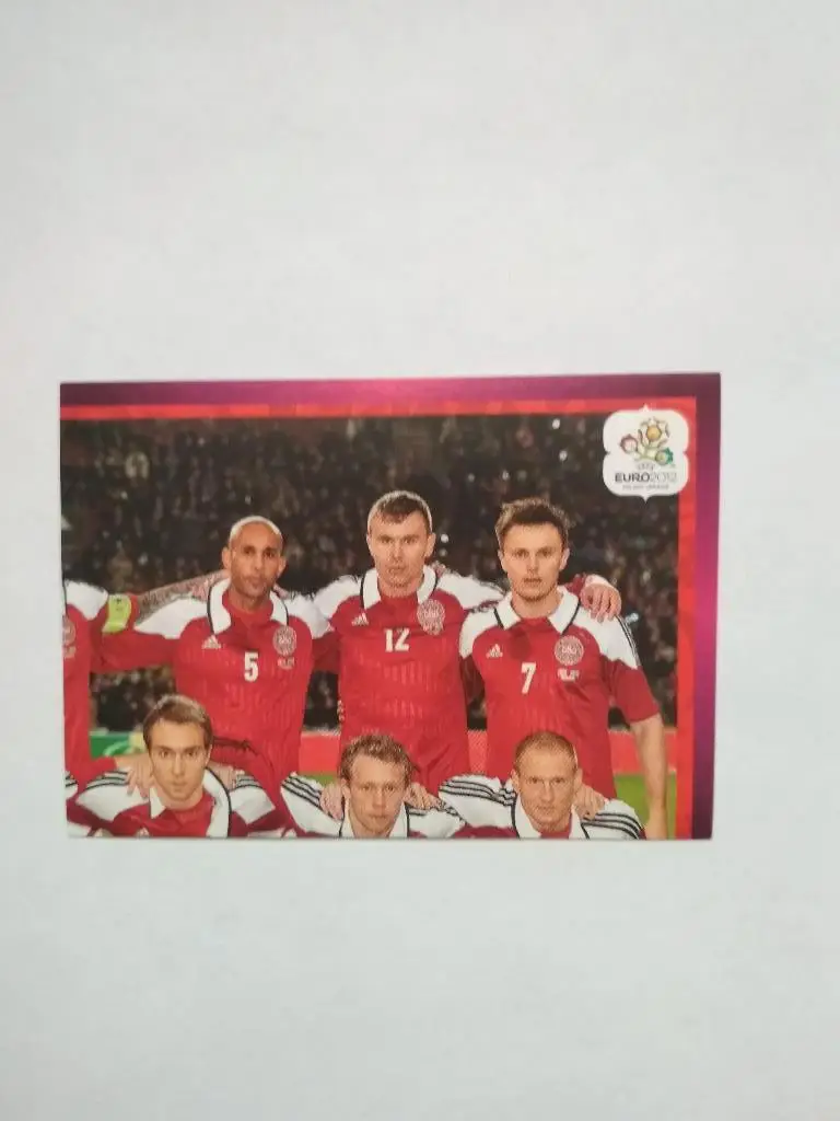 Наклейка ЧЕ - 2012 год PANINI -№ 197