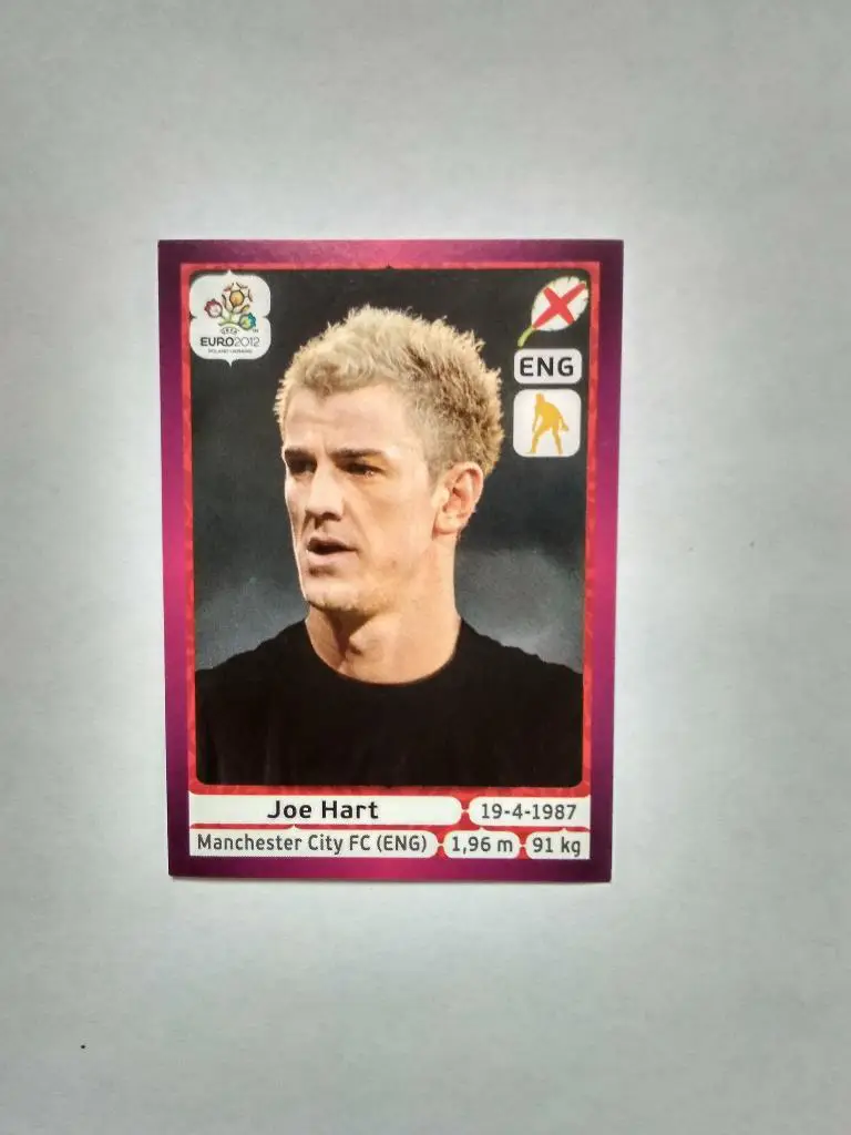 Наклейка ЧЕ - 2012 год PANINI -№ 490