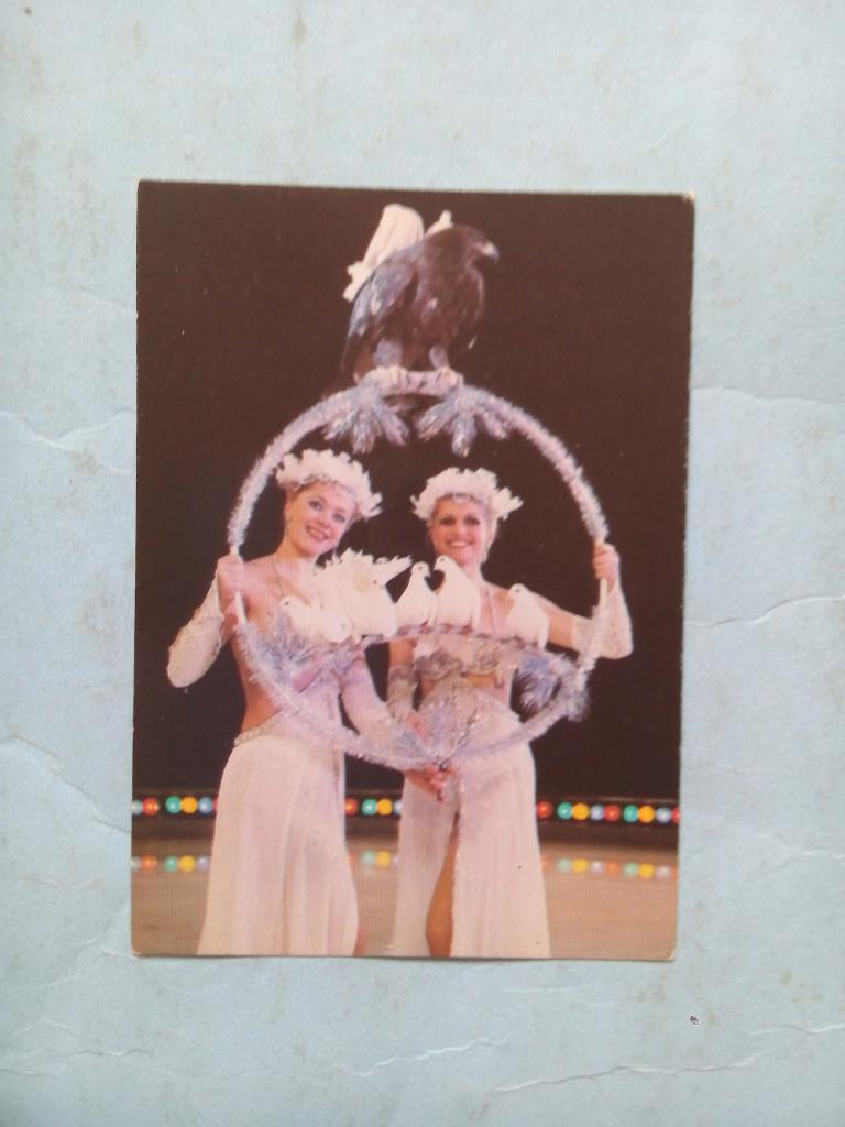 Календарик Цирк 1988 г. - 607