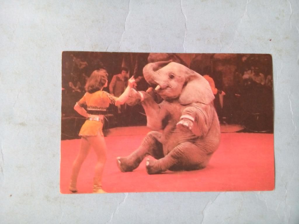 Календарик Цирк 1989 г. - 2025