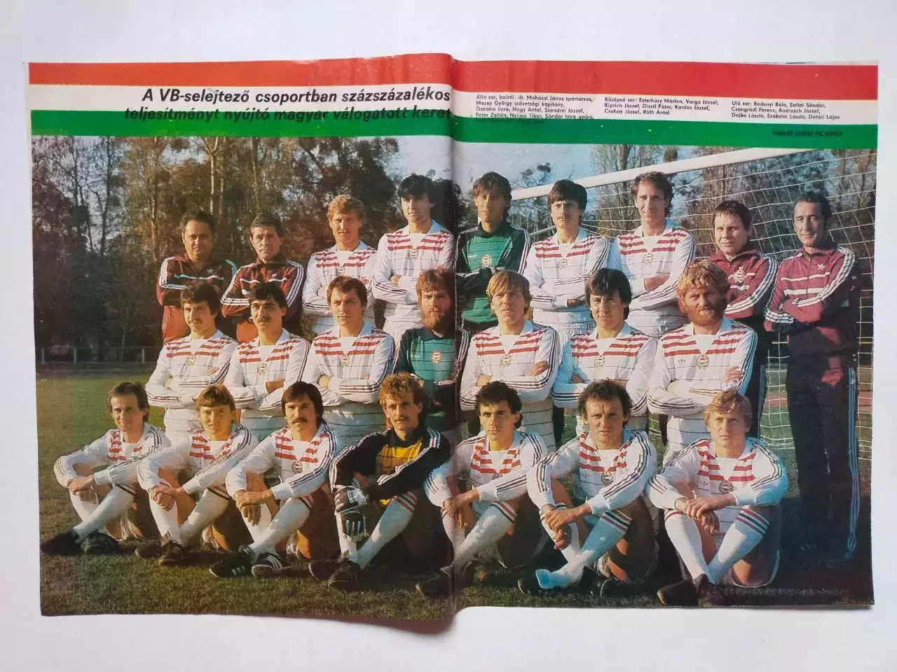 Из журнала kepes sport футбольная сборная Венгрии