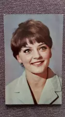 Артисты зарубежного кино и театра : Марианна Вертинская 1968 г. Артисты СССР