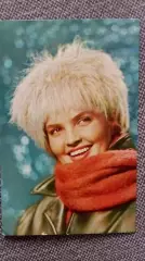 Артисты зарубежного кино и театра : Дзидра Риттенбергс 1967 г. Артисты СССР