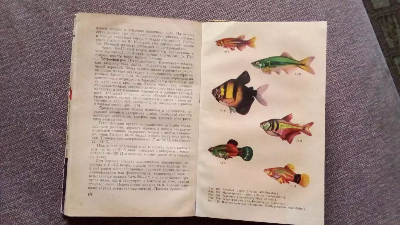 М.А. Пешкова - Комнатный аквариум 1965 г. (Аквариумные рыбки Рыбоводство) 4